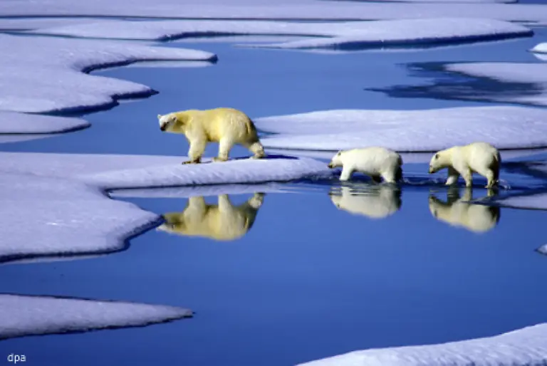 Und-ausserdem-wollten-wir-die-traurigen-Auswirkungen-des-Klimawandels-lange-Zeit-einfach-nicht-wahrhaben