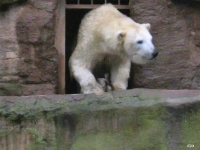 Vera-hatte-sich-vorbildlich-um-ihr-Kleines-gekuemmert