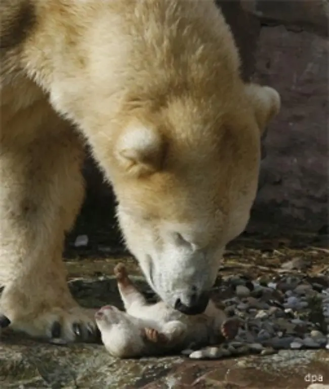Vera-wirkte-hektisch-und-verstoert
