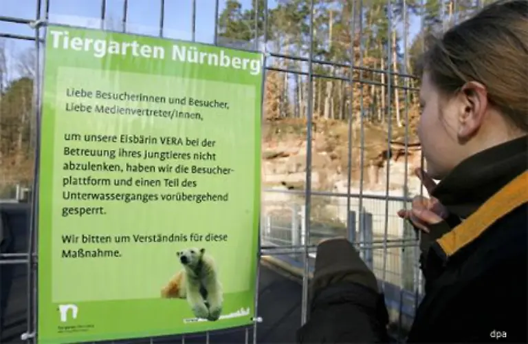 Es-gebe-Filmaufnahmen-die-bewiesen-dass-sich-Kamerateams-dem-Gehege-weiter-genaehert-haetten-als-erlaubt