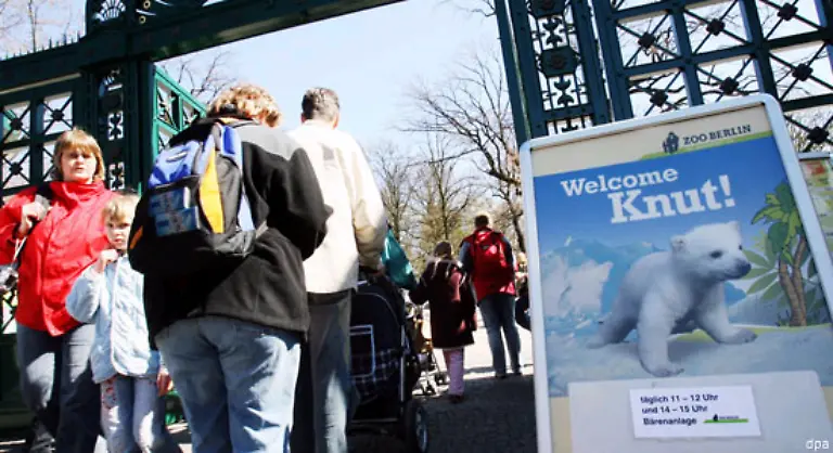 Doch-solch-einen-Rummel-wie-um-Knut-will-Nuernberg-vermeiden