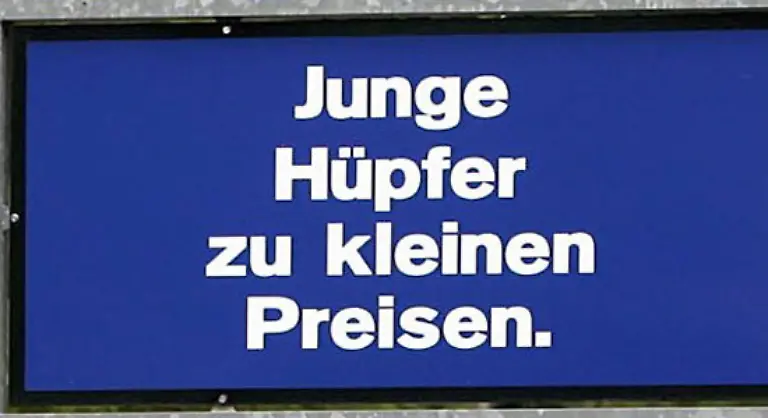 Wer-sich-keines-Besseren-belehren-lassen-moechte-fuer-den-kommen-jetzt-noch-einige-Nano-Alternativen