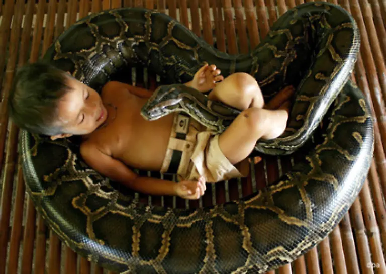 Manche-sind-von-ihnen-fasziniert