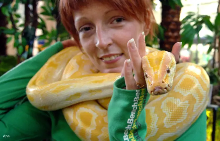 Zu-Unrecht-Denn-sie-sind-als-Jaeger-wichtig-fuer-das-oekologische-Gleichgewicht-Menschen-gehen-sie-grundsaetzlich-lieber-aus-dem-Weg-Sie-greifen-nur-an-wenn-sie-sich-bedroht-fuehlen