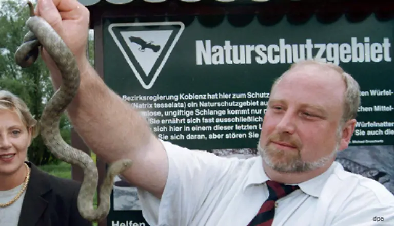 Die-Wuerfelnatter-lebt-bevorzugt-am-Ufer-oder-im-Wasser-denn-sie-ernaehrt-sich-von-Fischen-Es-gibt-sie-noch-an-Mosel-Nahe-und-Lahn-Ihren-Namen-verdankt-die-Schlange-dem-Wuerfelmuster-auf-ihrem-Ruecken