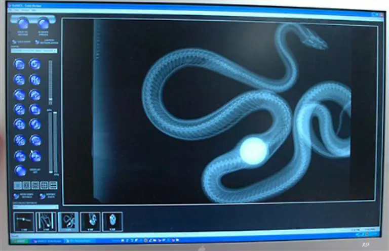 Schlangen-die-Elefanten-verspeisen-und-fuer-die-grossen-Leute-dann-wie-ein-Hut-aussehen-gibt-es-uebrigens-nur-in-der-Literatur-Doch-mit-Golfbaellen