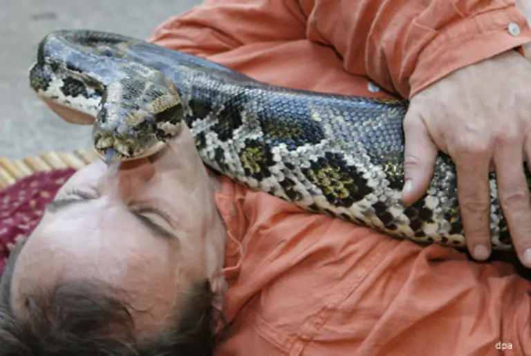 Wenn-Sie-selbst-einer-Schlange-begegnen-bleiben-Sie-am-besten-ruhig