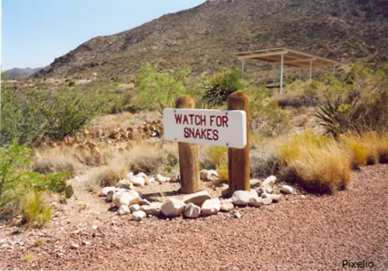 und-treten-Sie-immer-direkt-auf-Steine-und-Aeste-damit-Sie-Schlangen-die-sich-moeglicherweise-darunter-verstecken-nicht-aufscheuchen