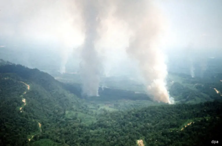 Bislang-war-das-industriearme-Indonesien-weltweit-beim-Ausstoss-von-CO2-die-Nummer-drei-und-das-allein-wegen-der-Brandrodung-von-Urwaeldern