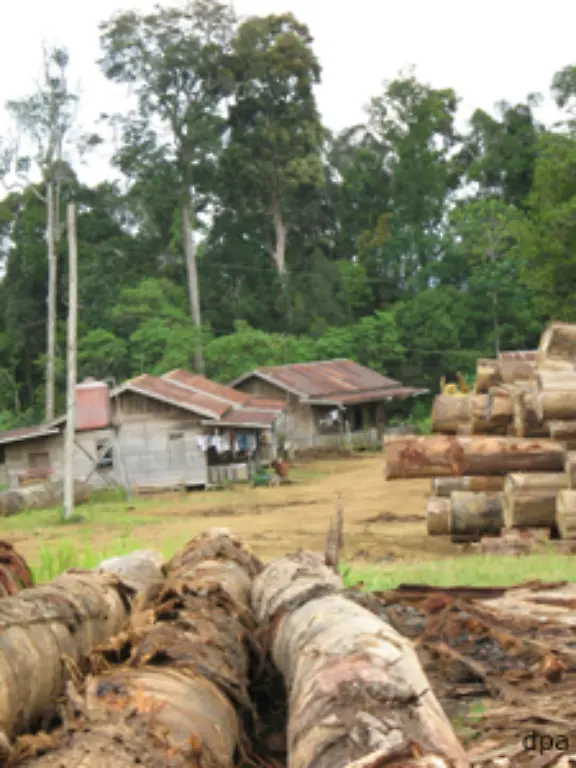Ihre-Wirtschaftsleistung-liegt-bislang-fast-ausschliesslich-in-der-zerstoererischen-Ausbeutung-natuerlicher-Ressourcen-Nun-nach-der-Ankuendigung-des-Schutzprogrammes