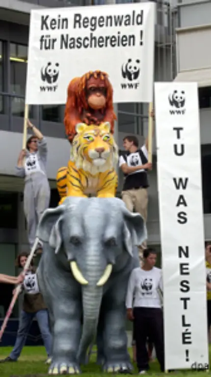 Palmoel-wird-seit-langem-in-Kosmetika-und-Nahrungsmitteln-verwendet