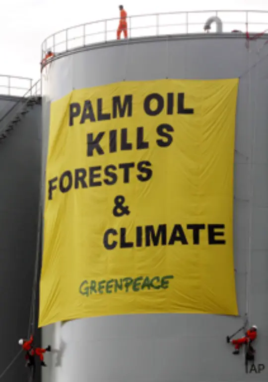 Unter-dieser-Massgabe-wuerden-im-Namen-des-Klimaschutzes-die-letzten-Regenwaelder-gerodet-Damit-waere-dem-Klimaschutz-ein-Baerendienst-erwiesen-warnt-Kaiser