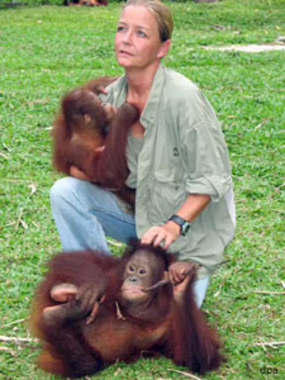 Nielsen-fuehrt-eine-mobile-Truppe-an-die-vor-allem-Orang-Utan-Babys-aus-den-Plantagen-rettet