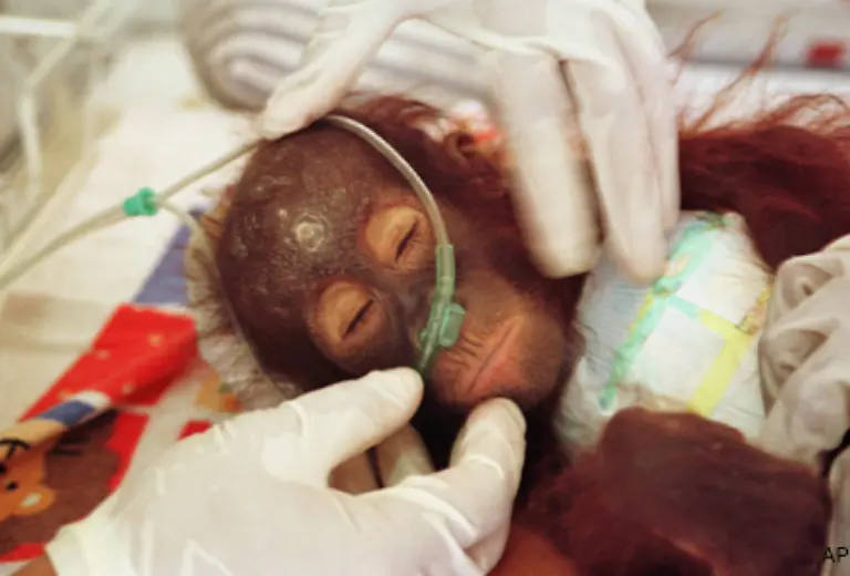 Einmal-in-der-Auffangstation-angekommen-checken-Nielsen-und-ihre-160-Mitarbeiter-die-Tiere-auf-Krankheiten