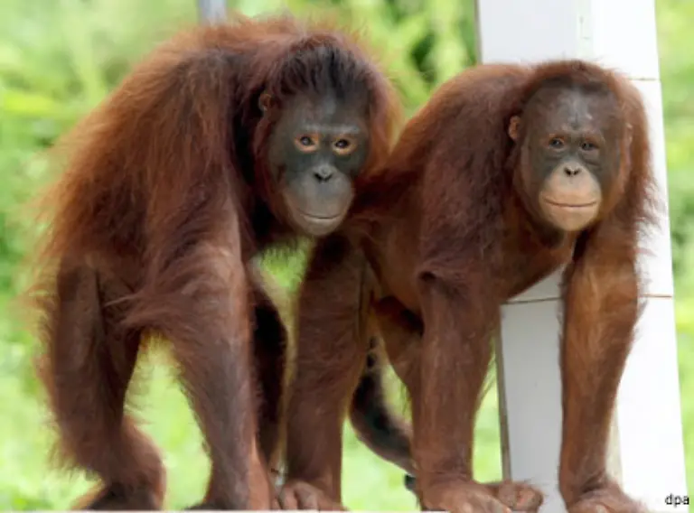 tagsueber-heisst-es-Lernen-im-Uebungsdschungel