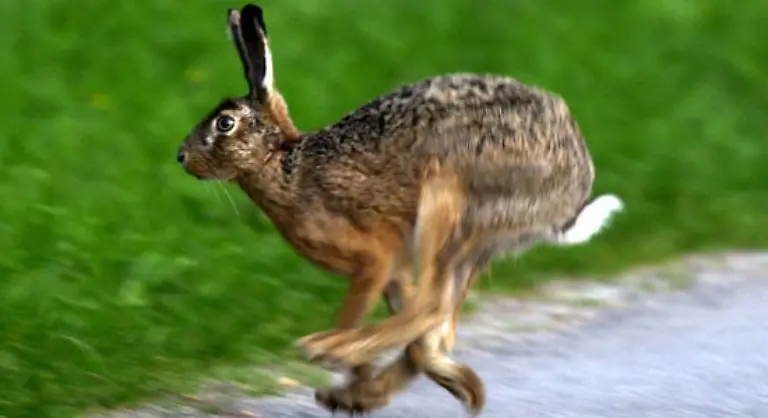 Doch-wandeln-sich-mit-fortschreitendem-Alter-die-Ansprueche-Unter-richtig-gutem-Sex-versteht-man-nicht-die-schnelle-Nummer