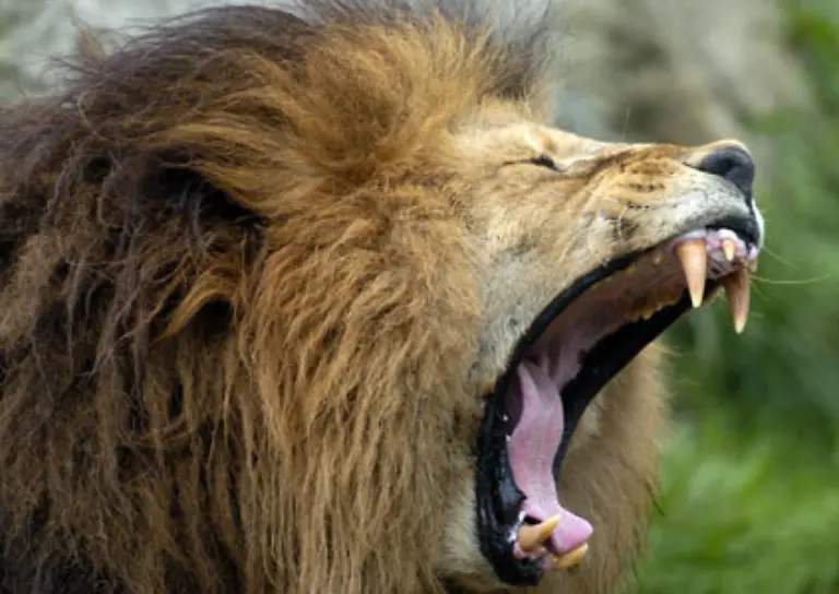 So-also-die-sieben-Sextypen-a-la-Horx