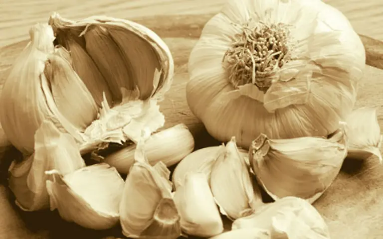 Dieses-Wundermittel-dagegen-verursacht-Gerueche-aus-allen-Poren-Aber-Knoblauch-ist-auch-sehr-gesund-und-vielfach-einsetzbar-Beispielsweise-gegen-Halsschmerzen-Einfach-eine-geschaelte-Zehe-Knoblauch-in-ein-Stueck-weiches-Brot-wickeln-beides-gut-durchkauen-und-schlucken