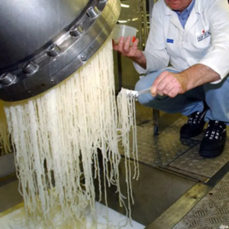 Dieses-eklig-aussehende-Zeug-ist-Gelatine-Nur-ein-Essloeffel-davon-am-Tag-untergeruehrt-in-Joghurt-hilft-den-Knorpelaufbau-in-den-Gelenken-anzukurbeln