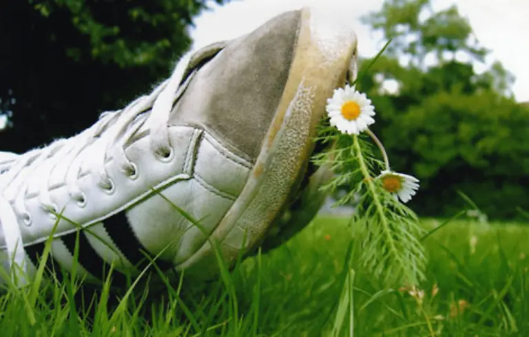 Und-hier-der-absolute-Geheimtipp-Backpulver-hilft-gegen-Fussschweiss-Wer-ab-und-an-mit-mueffelnden-Fuessen-zu-kaempfen-hat-sollte-etwas-Backpulver-in-seinem-Turnschuh-verteilen-Soll-auch-mit-Puder-und-Odol-funktionieren