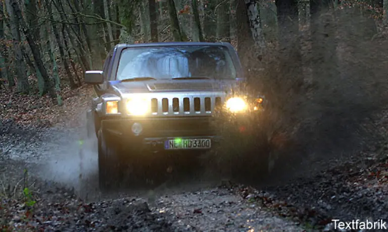 Doch-in-heimischen-Gefilden-ist-der-Hummer-nicht-wirklich-in-Verlegenheit-zu-bringen