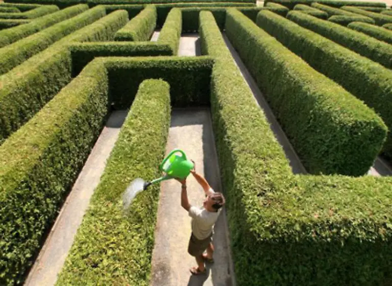 Wenn-Sie-einmal-im-Markt-drin-sind-sollen-Sie-so-lang-wie-moeglich-bleiben-Bevor-Sie-Ihren-Wagen-zur-Kasse-lenken-sollen-Sie-die-gesamte-Angebotspalette-praesentiert-bekommen-Zur-Kasse-gelangen-Sie-deshalb-nur-ueber-Umwege