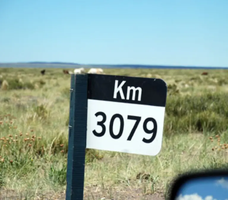 Wenn-Sie-sich-dann-in-die-Lebensmittelabteilung-vorgekaempft-haben-werden-Sie-die-kaum-nur-mit-einer-Packung-Milch-wieder-verlassen-Der-Weg-soll-sich-schliesslich-gelohnt-haben