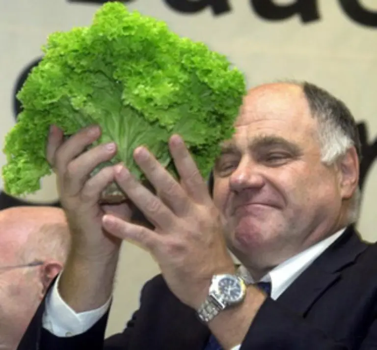 Ob-Salat-und-Blumenkohl-tatsaechlich-taufrisch-sind-erkennen-Sie-an-der-Schnittstelle-Verfaerbt-die-sich-schon-braun-ist-die-Ware-alt