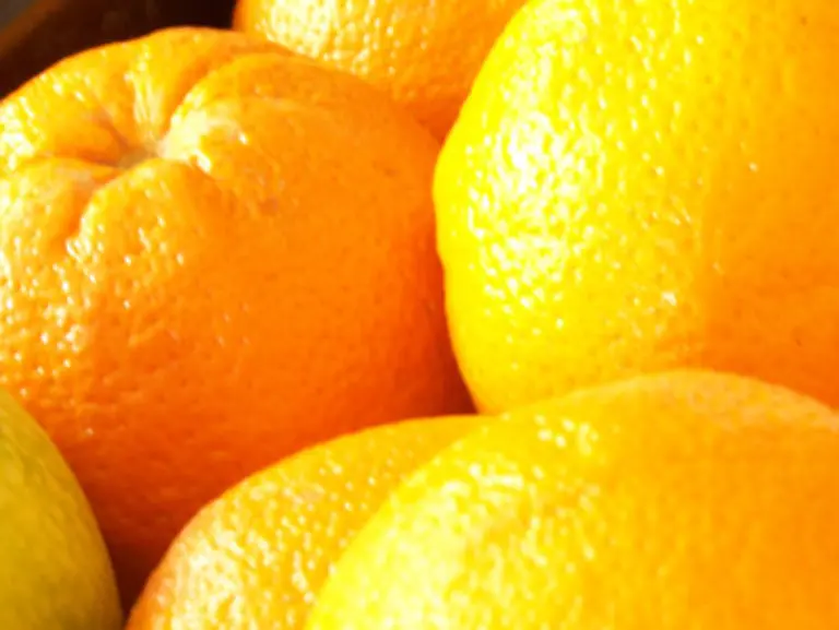 Schwieriger-ist-der-Frischetest-bei-Zitrusfruechten-Oberflaechenbehandlungsmittel-lassen-Orangen-und-Clementinen-prall-und-saftig-erscheinen-auch-wenn-sie-unter-der-Schale-schon-matschig-oder-strohig-sind-Behandeltes-Obst-muss-gekennzeichnet-sein