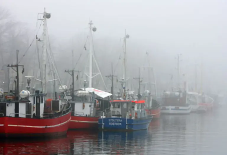 Der-Nebel-lichtet-sich-Aus-dem-Laenderfinanzausgleich-erhaelt-Mecklenburg-Vorpommern-458-Mio-Euro