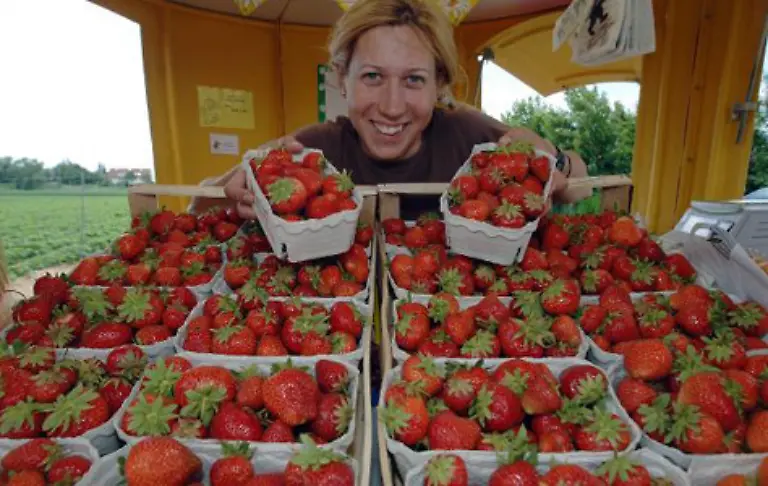 Werden-Fruechte-koerbeweise-angeboten-sollten-Sie-nachwiegen-Rund-ein-Drittel-aller-offenen-Verpackungen-sind-unterfuellt