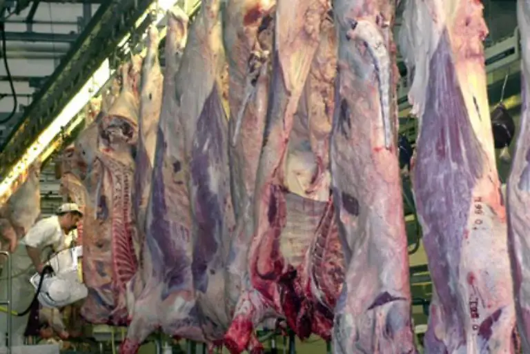 Natuerlich-wird-kein-Hersteller-sein-Fleisch-unter-der-Marke-Tierfabrik-verkaufen-als-Kaeufer-sollten-Sie-sich-aber-keine-Illusionen-ueber-die-Herkunft-Ihres-Abendessens-machen