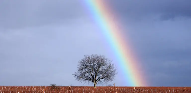 Ein-Hoffnungsschimmer-am-Horizont-Alle-Bilder-dpa