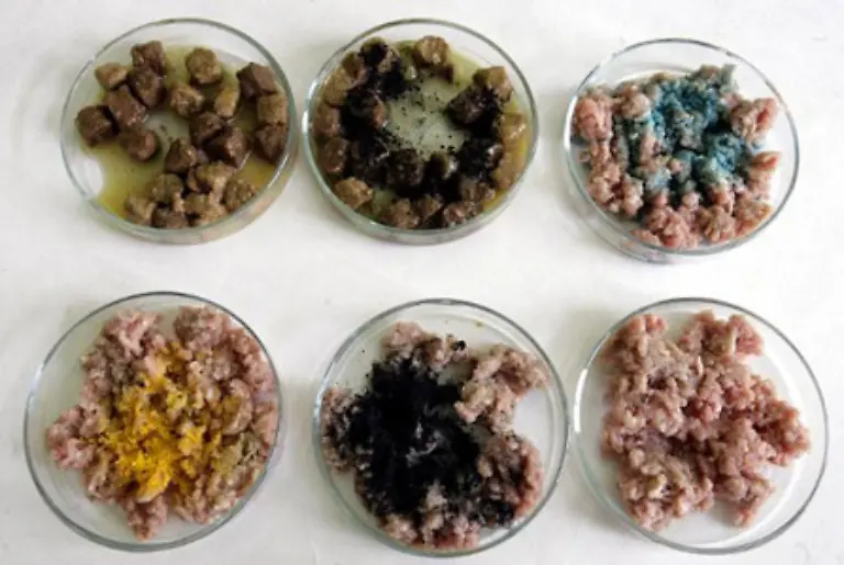 Was-Sie-allerdings-kontrollieren-koennen-ist-die-gesunde-Farbe-von-Fleisch-Altes-Fleisch-ist-meist-grau-braun-oder-gruenstichig-das-wissen-auch-die-Haendler