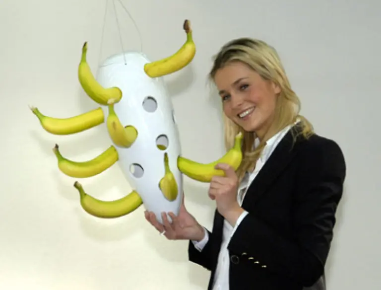 Manches-hat-sogar-einen-praktischen-Hauch-wie-Jonny-der-Bananenhalter