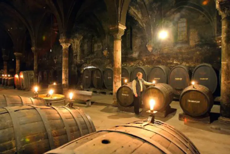 Im-solch-gediegenem-Umfeld-wirken-teure-Tropfen-gleich-noch-edler-und-Lambrusco-oder-Maedchentraube-erscheinen-nicht-mehr-ganz-so-fuselig