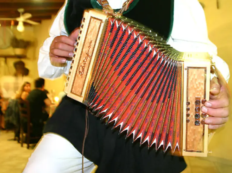 Nicht-auf-optische-sondern-auf-akustische-Reize-setzten-britische-Forscher-als-sie-eine-Weinabteilung-ueber-mehrere-Wochen-hinweg-abwechselnd-mit-franzoesischen-und-deutschen-Akkordeonklaengen-beschallten