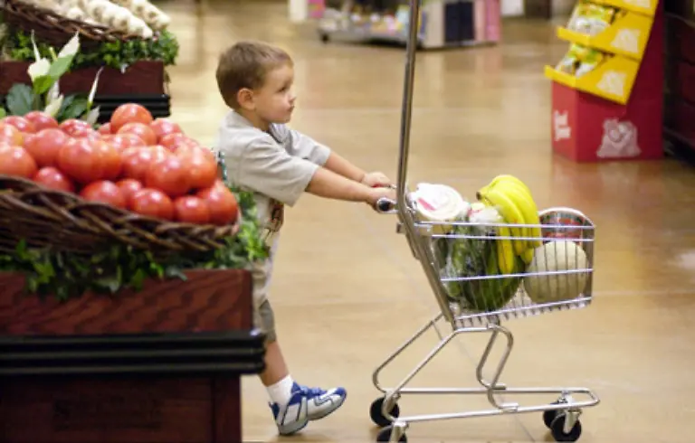 Viele-Maerkte-haben-auch-kleinere-Wagen-allerdings-nur-fuer-Kinder-Je-frueher-der-Nachwuchs-beim-Einkaufen-einen-eigenen-Willen-entwickelt-desto-besser