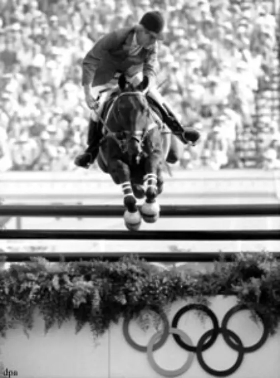 1996-wurde-Schockemoehle-wegen-Steuerhinterziehung-zu-elf-Monaten-Haft-auf-Bewaehrung-verurteilt