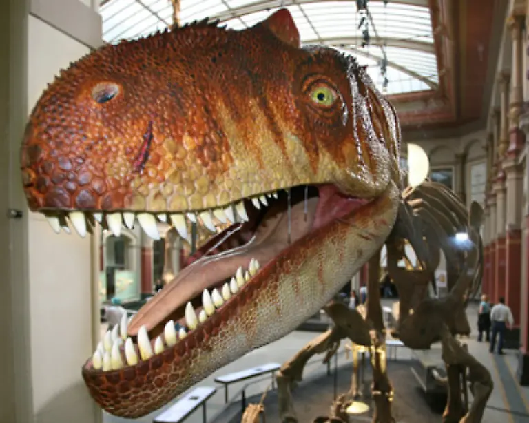 Dieser-koennte-ein-Artensterben-ausloesen-wie-wir-es-von-den-Dinosauriern-kennen