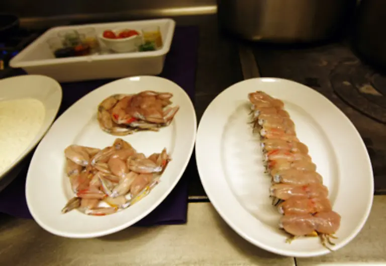 Doch-nicht-alle-eingefuehrten-Seefroesche-landeten-als-Delikatesse-auf-den-Tellern-der-Gourmets-Einige-huepften-mit-ihren-kraeftigen-Schenkeln-einfach-davon-um-in-Frankreich-zu-leben