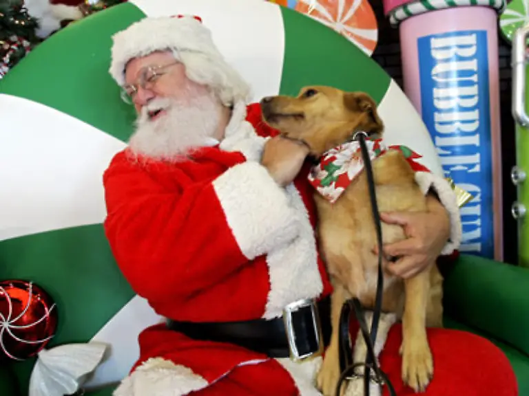 Zwei-Dinge-stehen-fest-1-Es-gibt-keinen-Weihnachtsmann-2-Du-kannst-nicht-singen