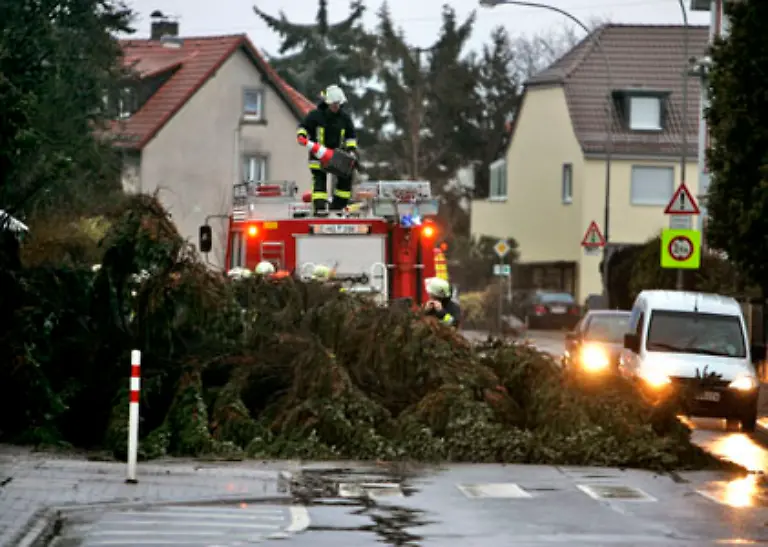 Umgestuerzte-Baeume-legen-dennoch-zwischenzeitlich-die-Strecken-zwischen-Dortmund-und-Hannover-Leipzig-und-Dresden-Muenster-und-Osnabrueck-sowie-zwischen-Koblenz-und-Koeln-lahm