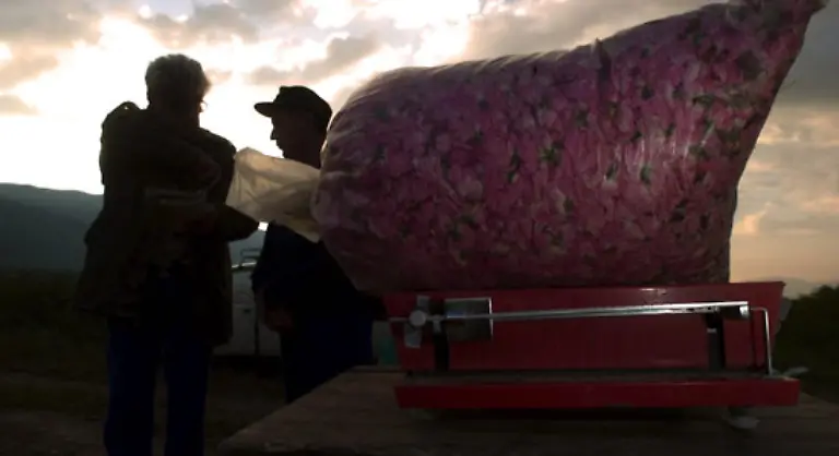 ist-der-Balkan-nun-rein-musikalisch-gesehen-natuerlich