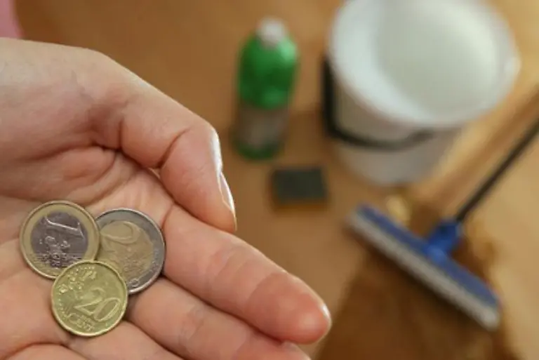 Doch-auch-der-letzte-Wille-schuetzt-nicht-vor-dem-Fiskus-Der-schlaegt-beim-unverheirateten-Partner-genauso-hart-zu-als-haette-der-Erblasser-seine-Putzfrau-oder-das-oertliche-Tierheim-bedacht