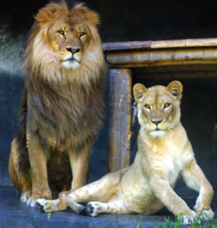 Als-der-Gesetzgeber-das-Ehegattensplitting-einfuehrte-war-in-Familien-eben-noch-das-traditionelle-Ein-Ernaehrer-Prinzip-angesagt-Und-das-gilt-im-Steuerrecht-bis-heute