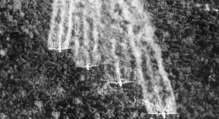Zudem-verspruehen-die-USA-im-Vietnamkrieg-mehr-als-80-Millionen-Liter-hochgiftiger-Herbizide