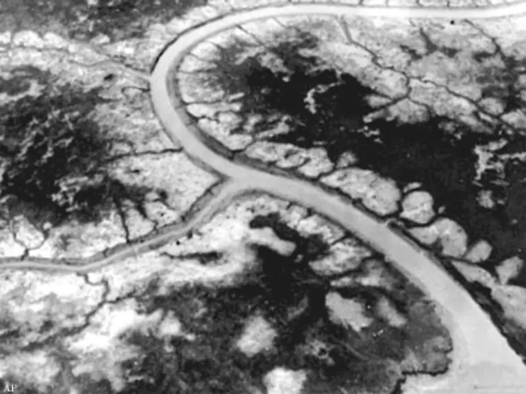 und-im-Jahr-1970-Die-dunklen-Flecke-sind-einige-ueberlebende-Baeume