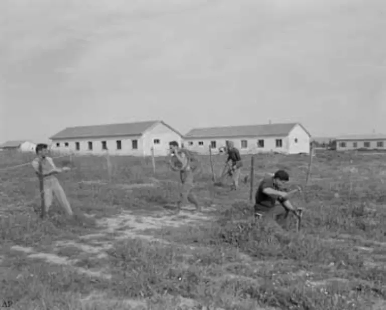 Von-1949-an-kommt-es-verstaerkt-zu-Uebergriffen-der-Fedayin-Jene-die-sich-selbst-aufopfern-werden-von-der-aegyptischen-Fuehrung-unterstuetzt-mit-Waffen-ausgeruestet-und-trainiert