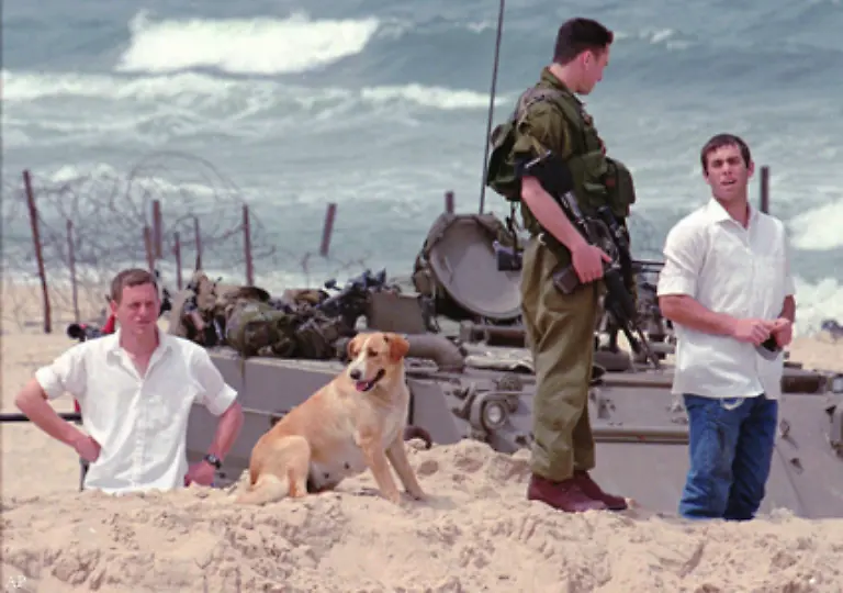 Im-Sommer-raeumt-das-israelische-Militaer-alle-Siedlungen-im-Gazastreifen-Bei-den-Zwangsraeumungen-werden-nach-Angaben-von-Aerzten-mindestens-43-Personen-verletzt